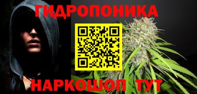ешки Кингисепп