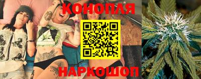 ешки Кингисепп