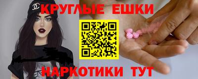 ешки Кингисепп