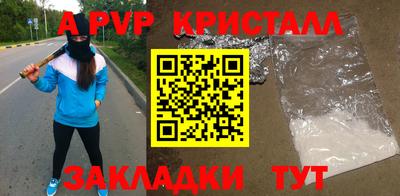 ешки Кингисепп