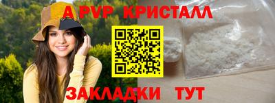 ешки Кингисепп