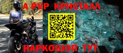 ешки Кингисепп