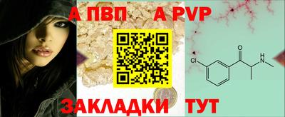 ешки Кингисепп