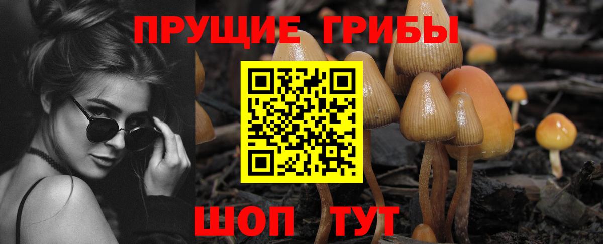 Галлюциногенные грибы Cubensis Каспийск